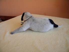 Pokaż album: Zdjecia indywidualne