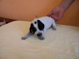 Pokaż album: Zdjecia indywidualne