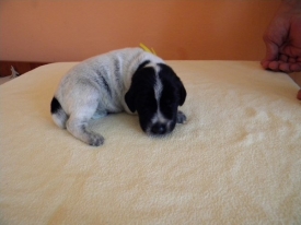 Pokaż album: Zdjecia indywidualne