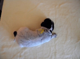 Pokaż album: Zdjecia indywidualne