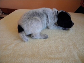 Pokaż album: Zdjecia indywidualne