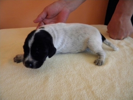 Pokaż album: Zdjecia indywidualne