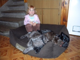 View the album Dzieciństwo u nas