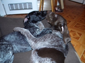 Pokaż album: Dzieciństwo u nas