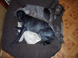 Vedi album Dzieciństwo u nas