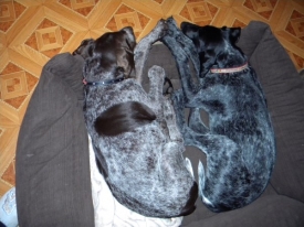 View the album Dzieciństwo u nas