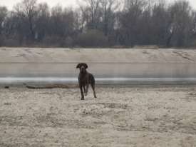 Pokaż album: Wycieczki rodzinne