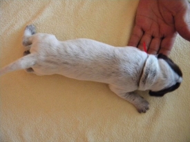 Pokaż album: Zdjecia indywidualne