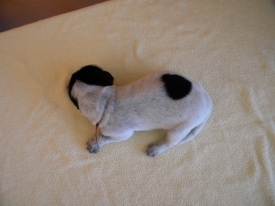 Pokaż album: Zdjecia indywidualne