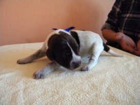 Pokaż album: Zdjecia indywidualne