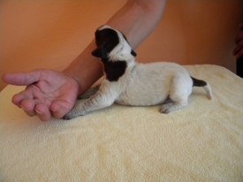 Pokaż album: Zdjecia indywidualne